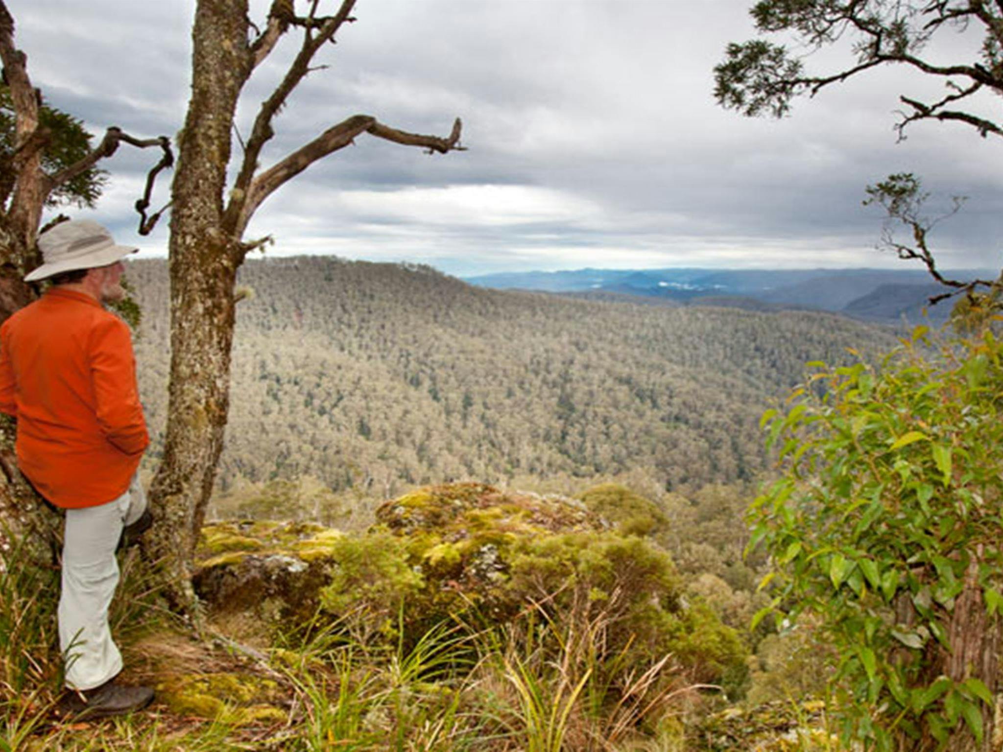 Cunnawarra National Park. Photo: Robert Cleary &copy; DPIE