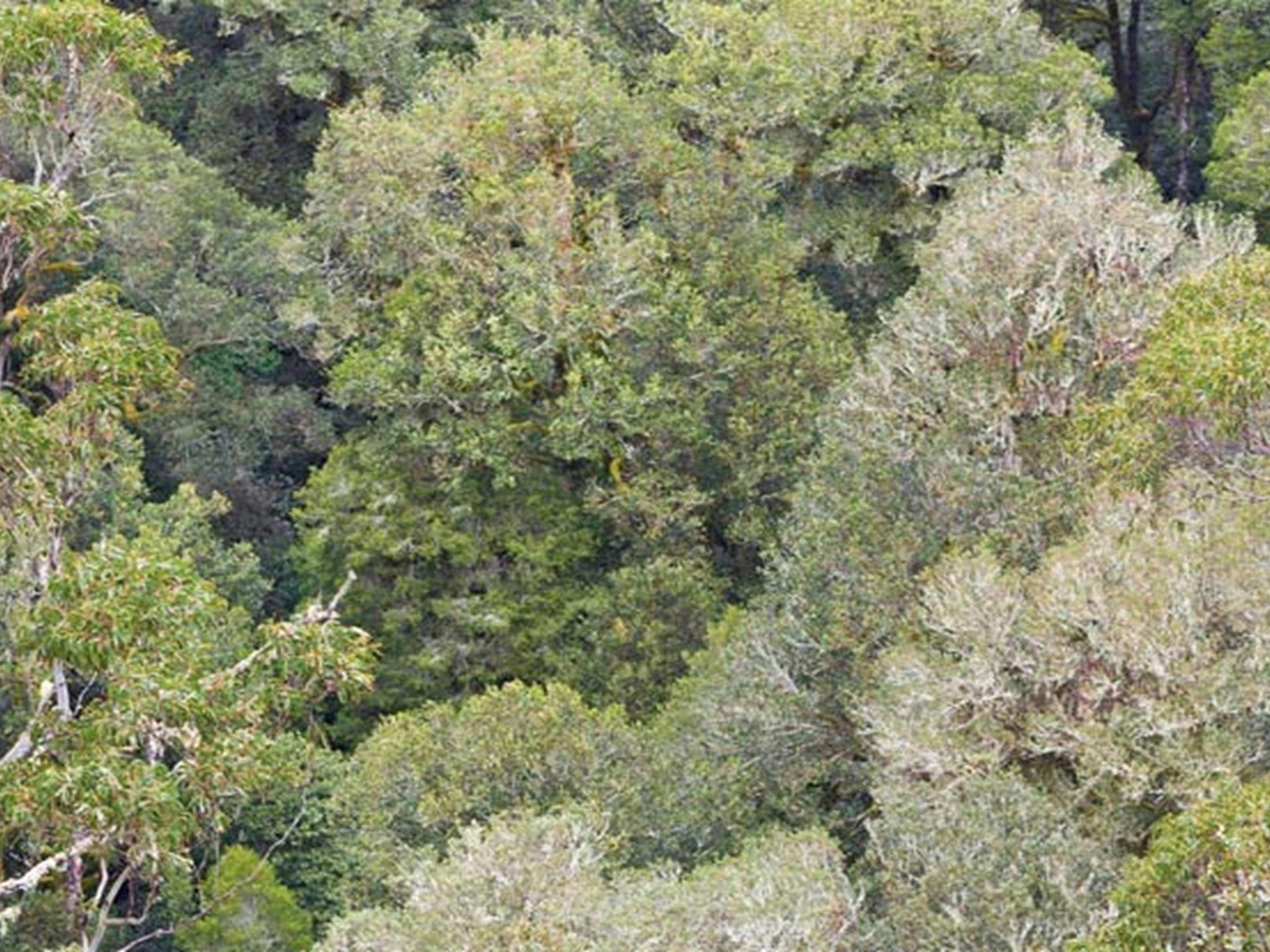 Cunnawarra National Park. Photo: Robert Cleary &copy; DPIE