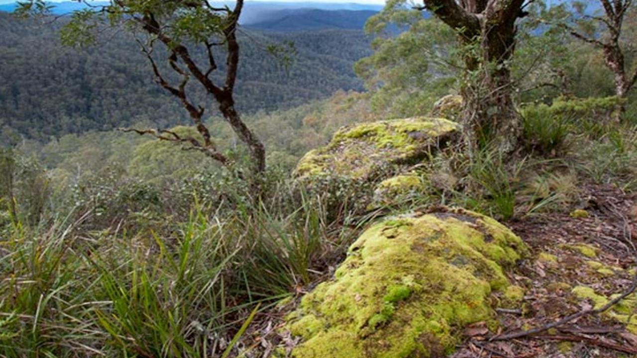Cunnawarra National Park