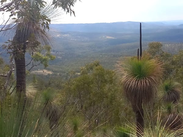 Curragundi Ridge