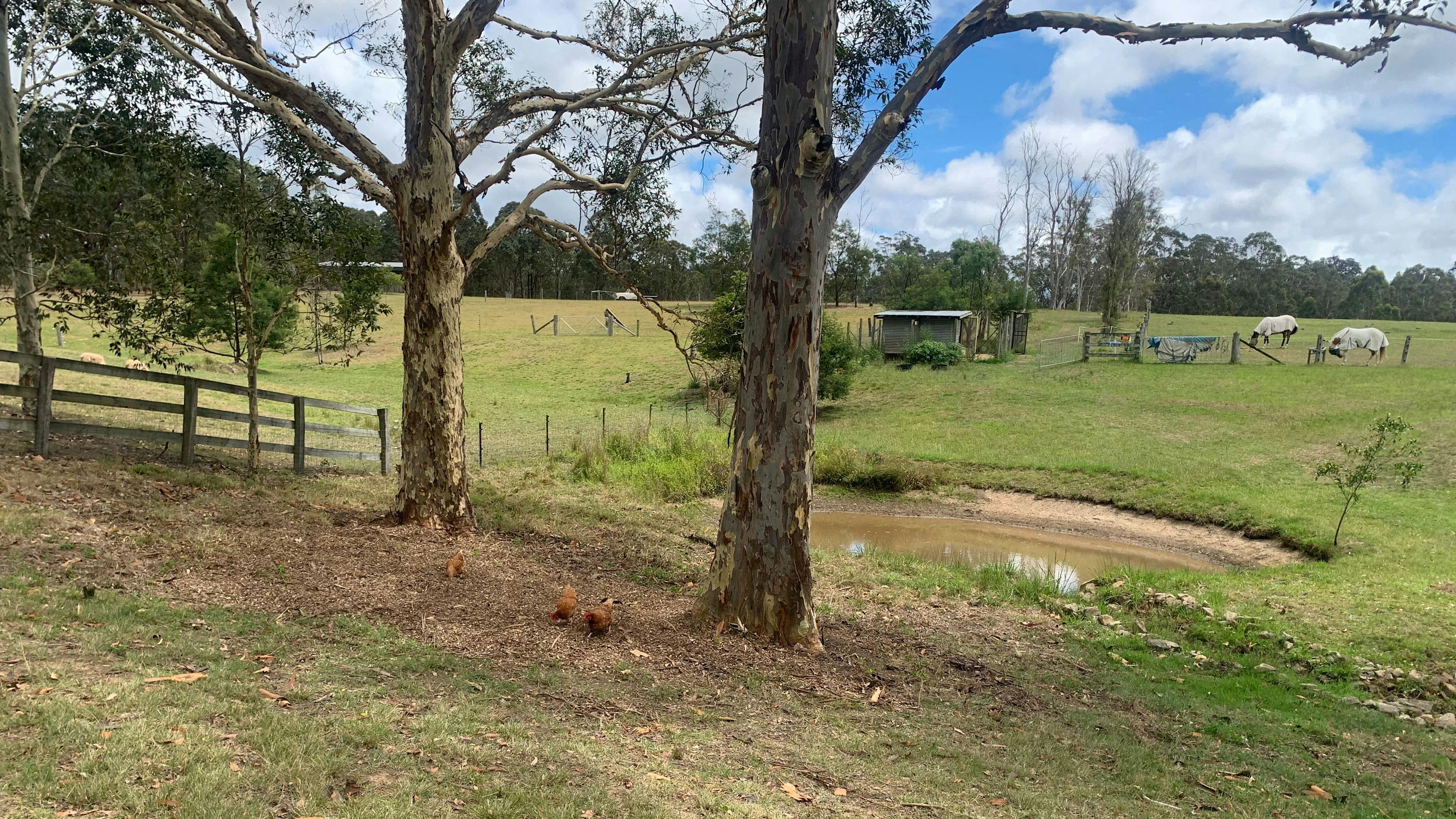 Currambene Creek Farm
