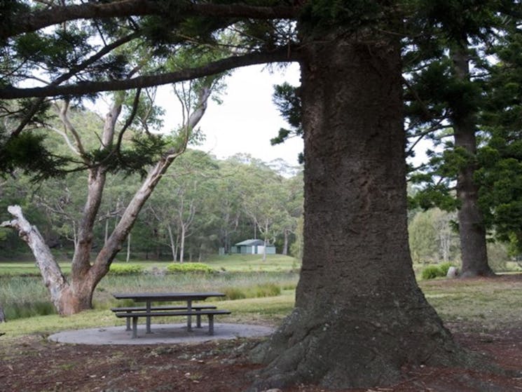 A picnic table under a tree next to the Hacking River at Currawong Flat picnic area in Royal