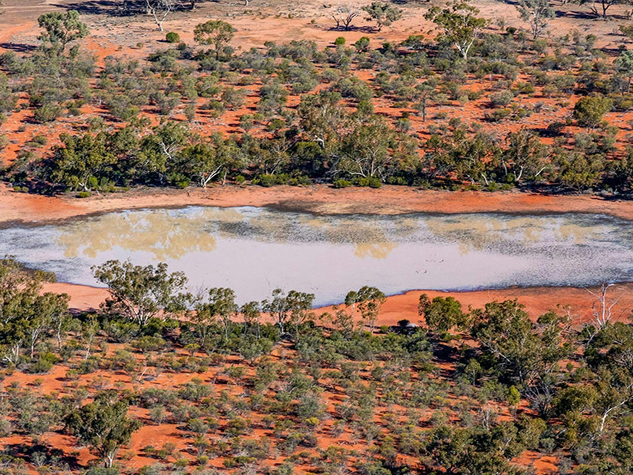 Comeroo claypan, Cuttaburra National Park. Credit: Joshua Smith &copy; DCCEEW