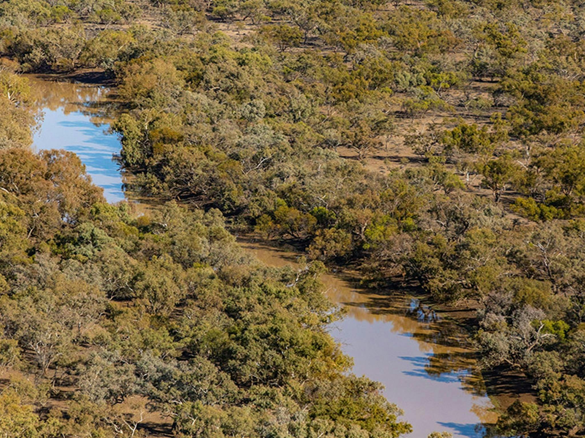 Cuttaburra National Park
