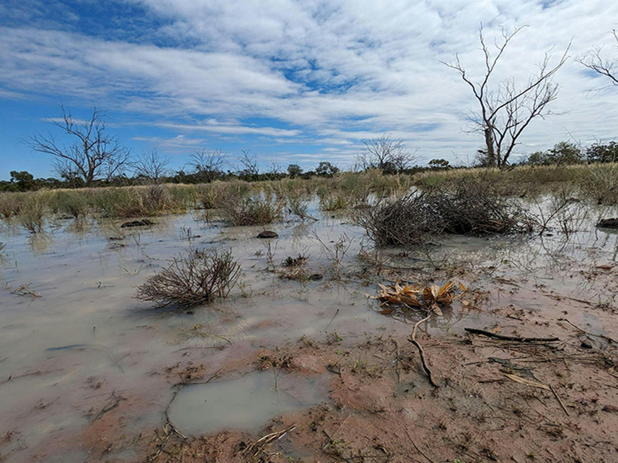 Cuttaburra National Park