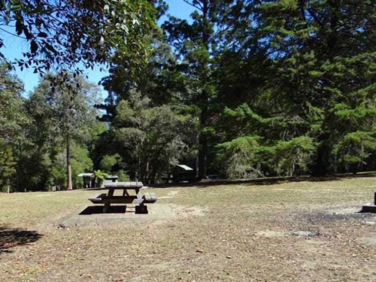 Cutters Camp campground, Mebbin National Park. Photo: D Hofmeyer/NSW Government