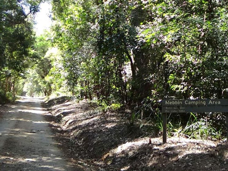 Cutters Camp campground, Mebbin National Park. Photo: D Hofmeyer/NSW Government