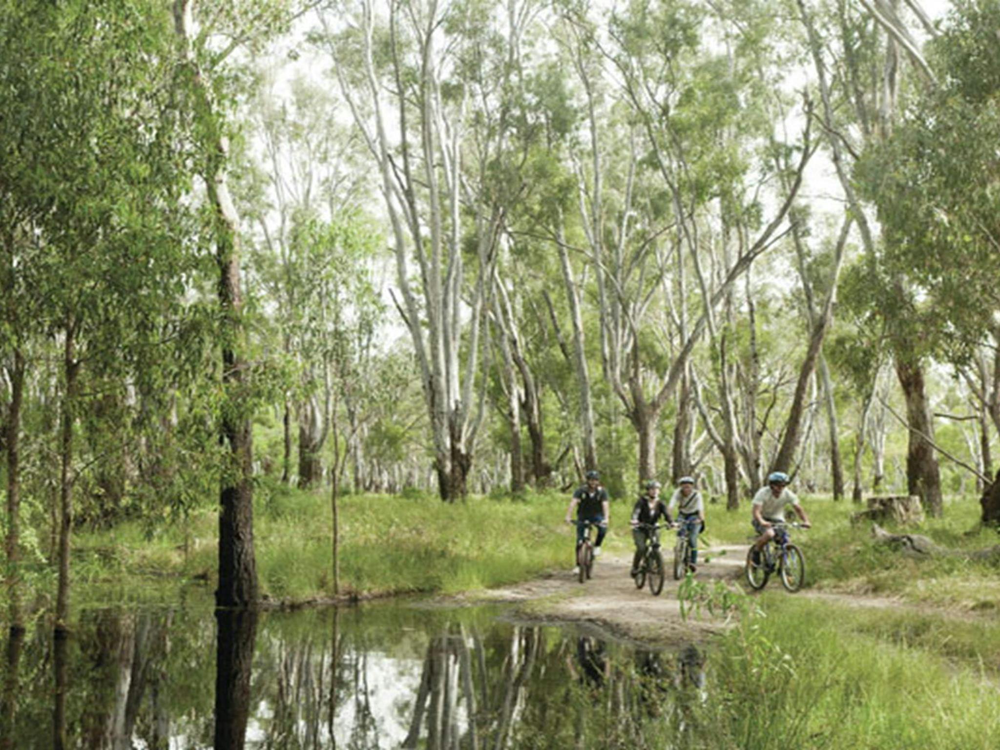 Cyclists, Murray Valley National Park. Photo: David Finnegan © DPIE