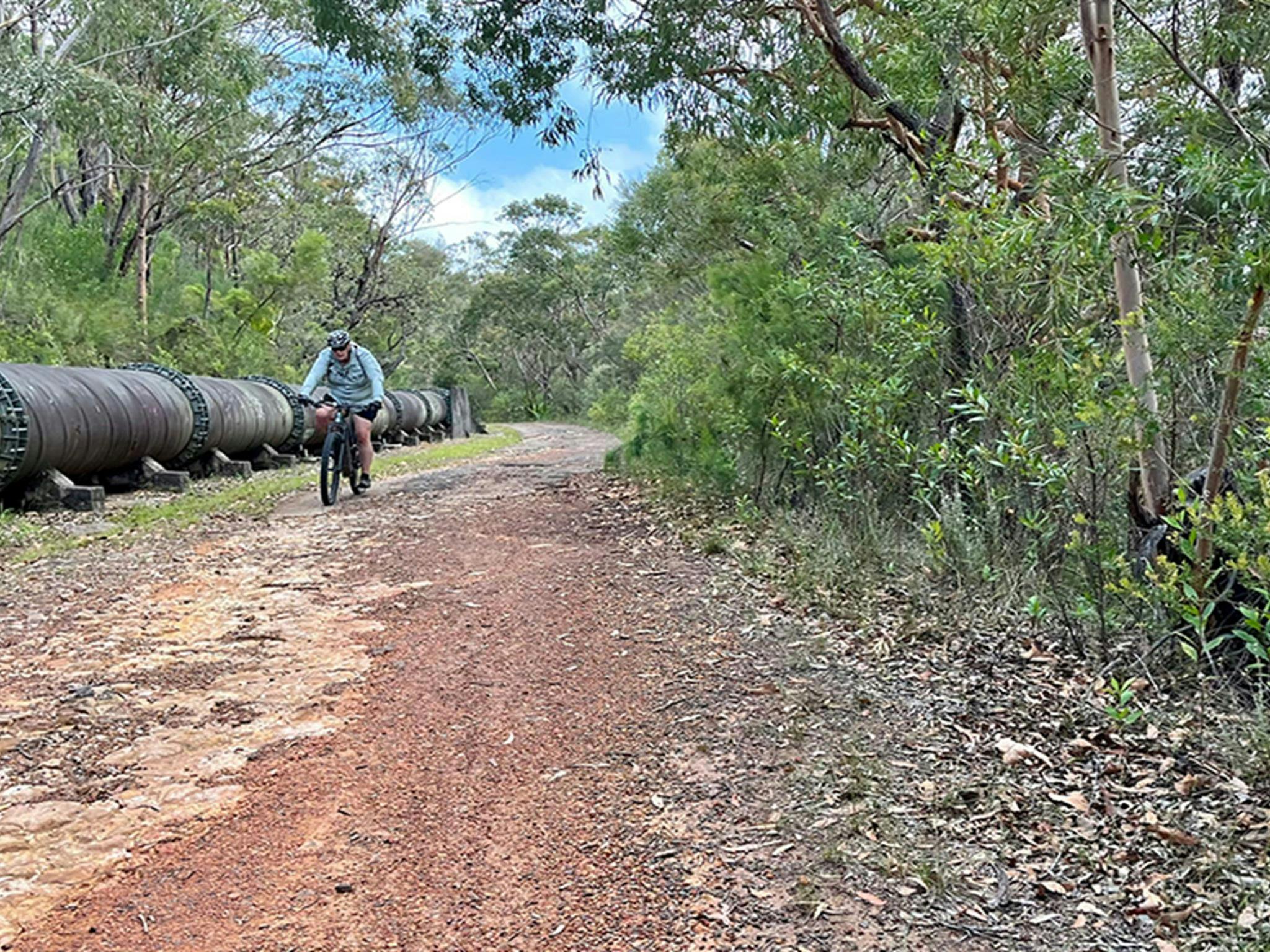 Cyclist on Pipeline trail to Mirang Pool in Heathcote National Park. Credit: Natasha Webb &copy;