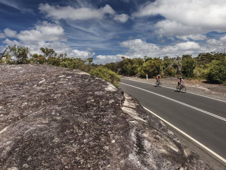 Two cyclists riding along West Head Road in Ku-ring-gai Chase National Park. Photo: David