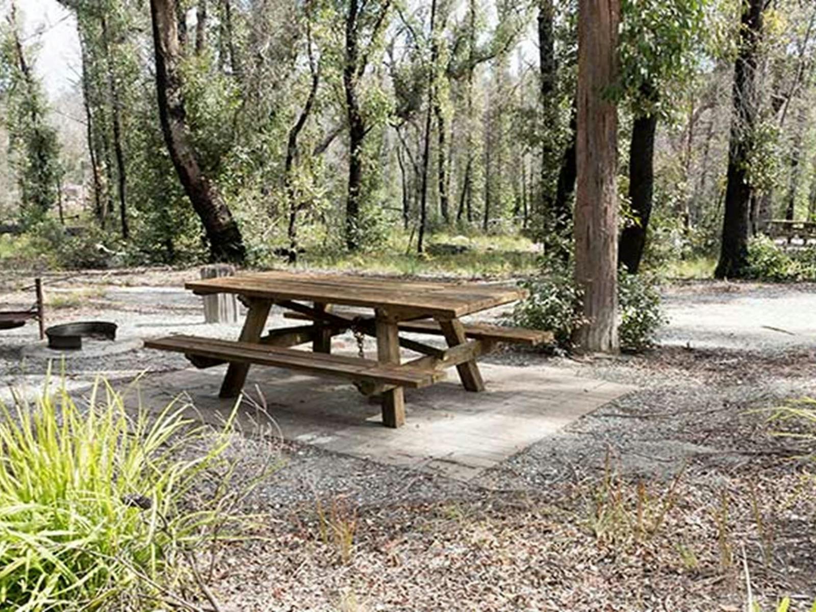 Picnic table at Cypress Pine campground, Boonoo Boonoo National Park. Photo: Leah Pippos ©: DPIE