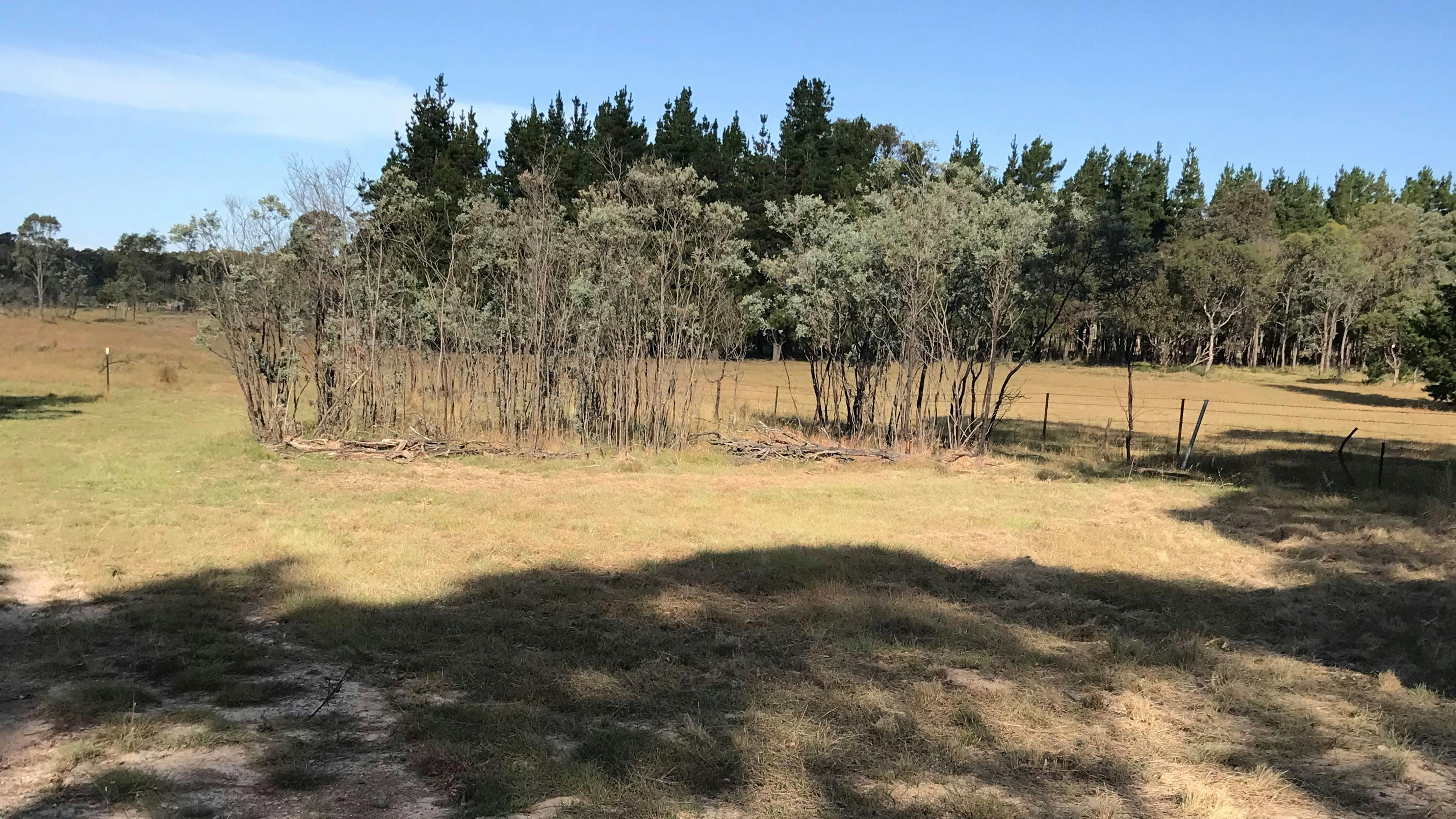 Miranda Springs Farm Stay
