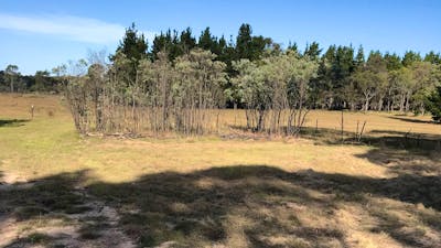 Miranda Springs Farm Stay