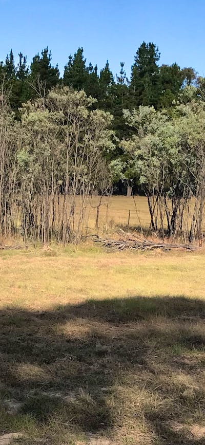 Miranda Springs Farm Stay