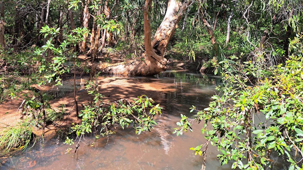 Gorge Creek Bushcamp