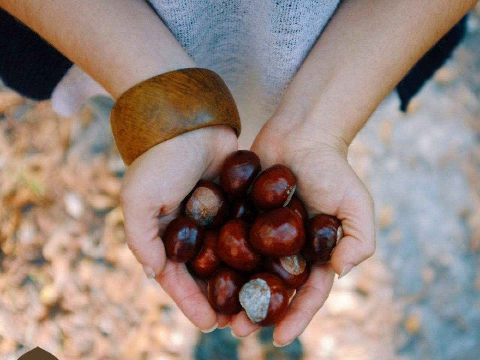 Example of harvest