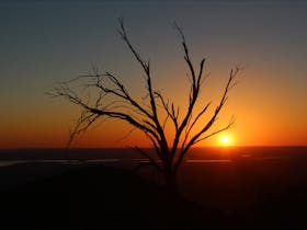 sin setting past tree looking from verandah of house