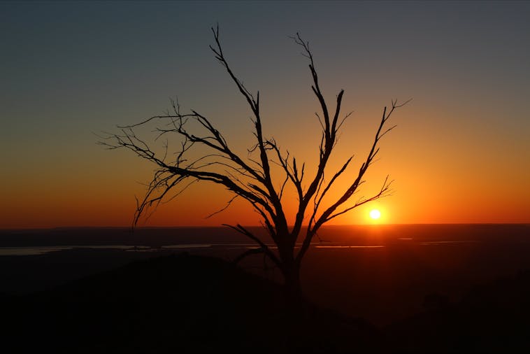 Catninga Flinders Ranges