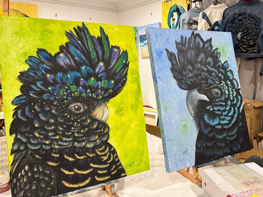 Black and white birds