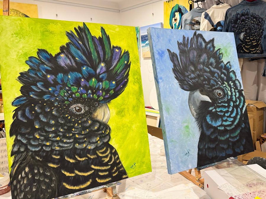 Black and white birds