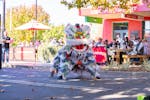 A Chinese dragon performing at Falling Leaf Festival Tumut