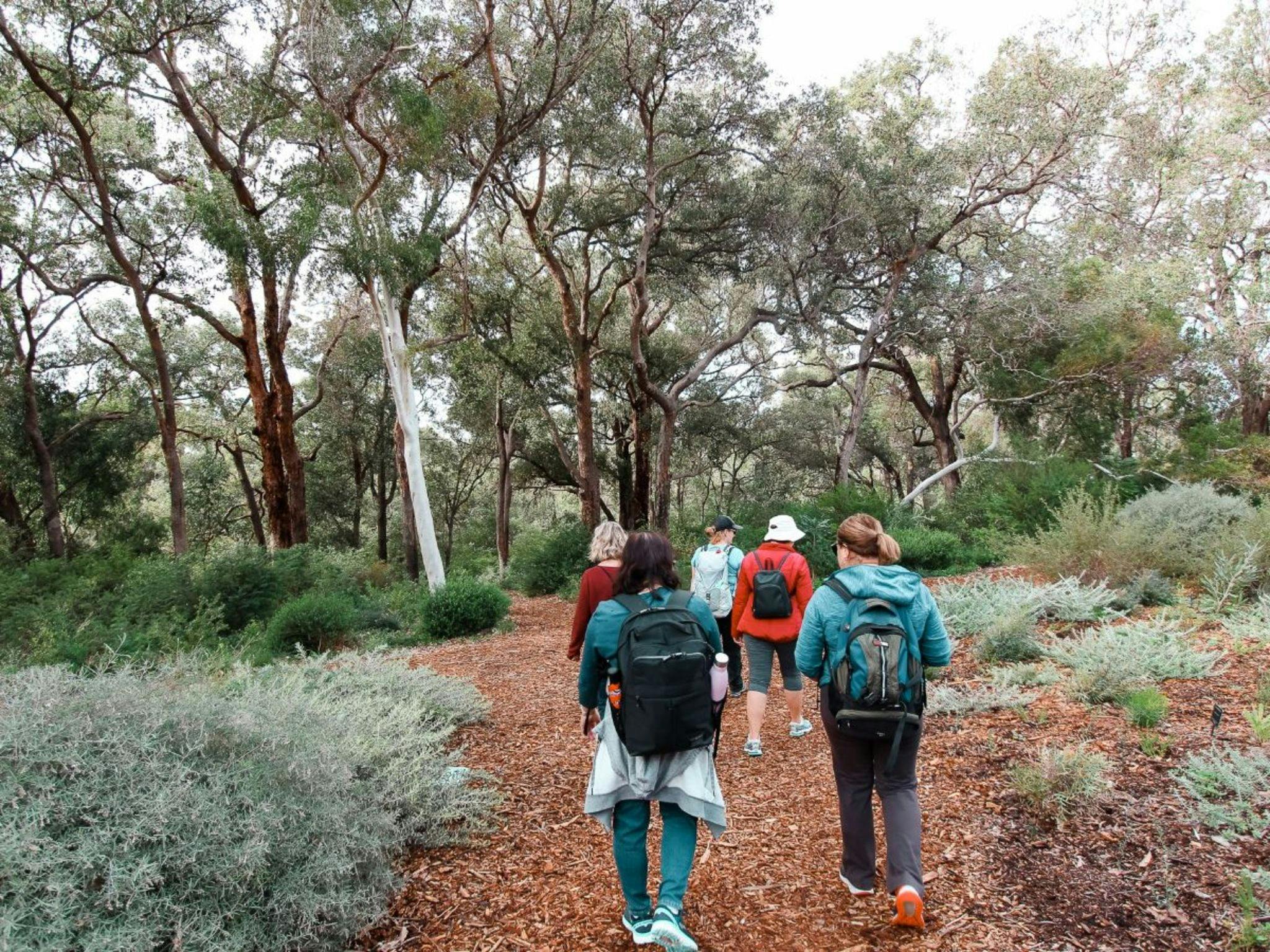 Kings Park Botanicals and Beyond Guided Hike