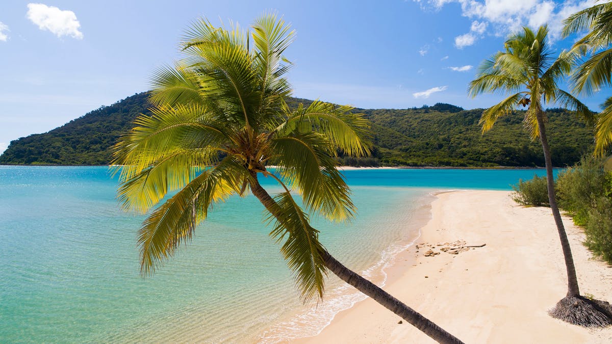 stunning rocky bay lining with white sand and clean blue water