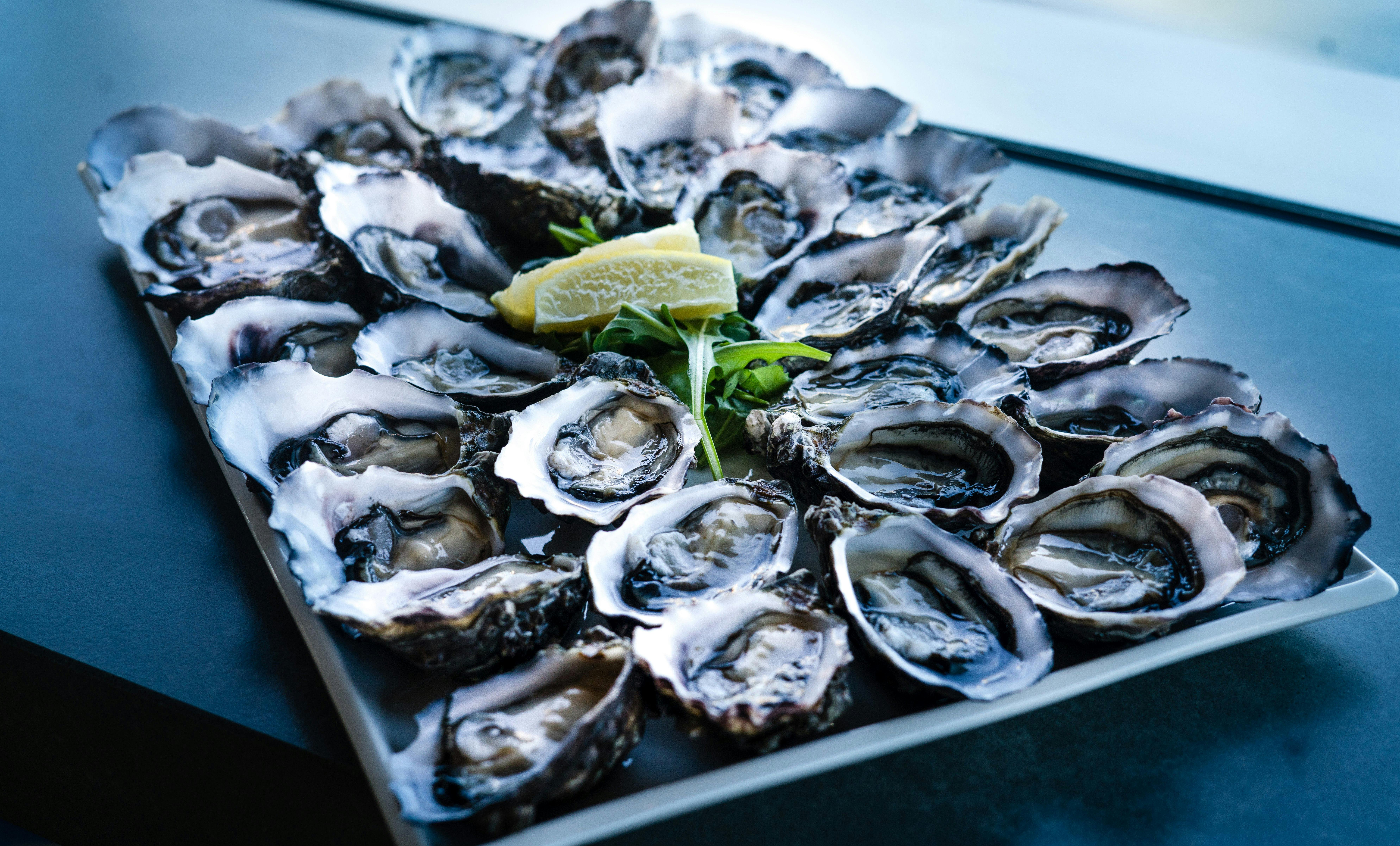 Oyster Bar