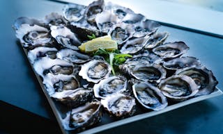 Oyster Bar