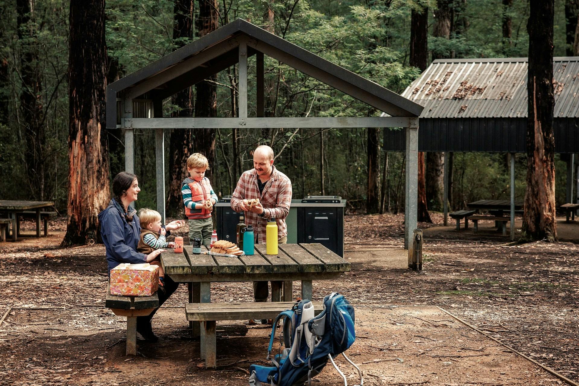 family of four at a picnic table near Masons Falls