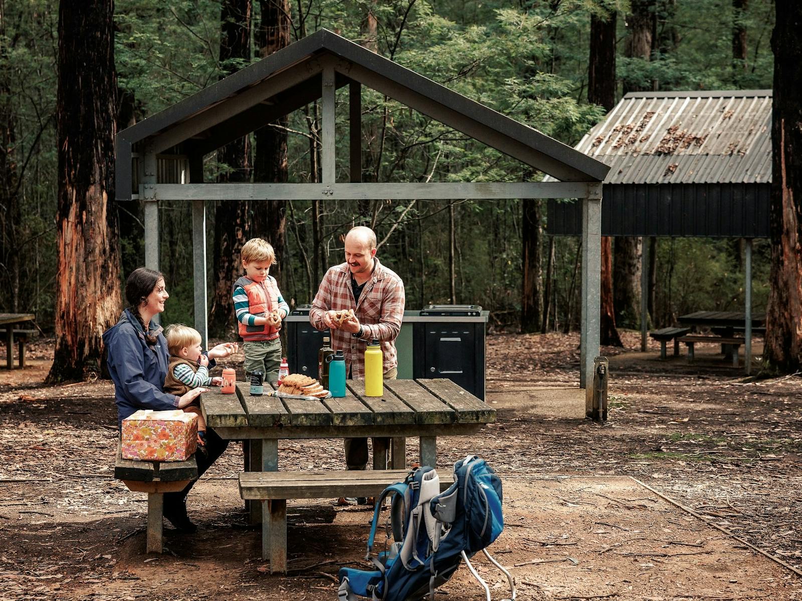 family of four at a picnic table near Masons Falls