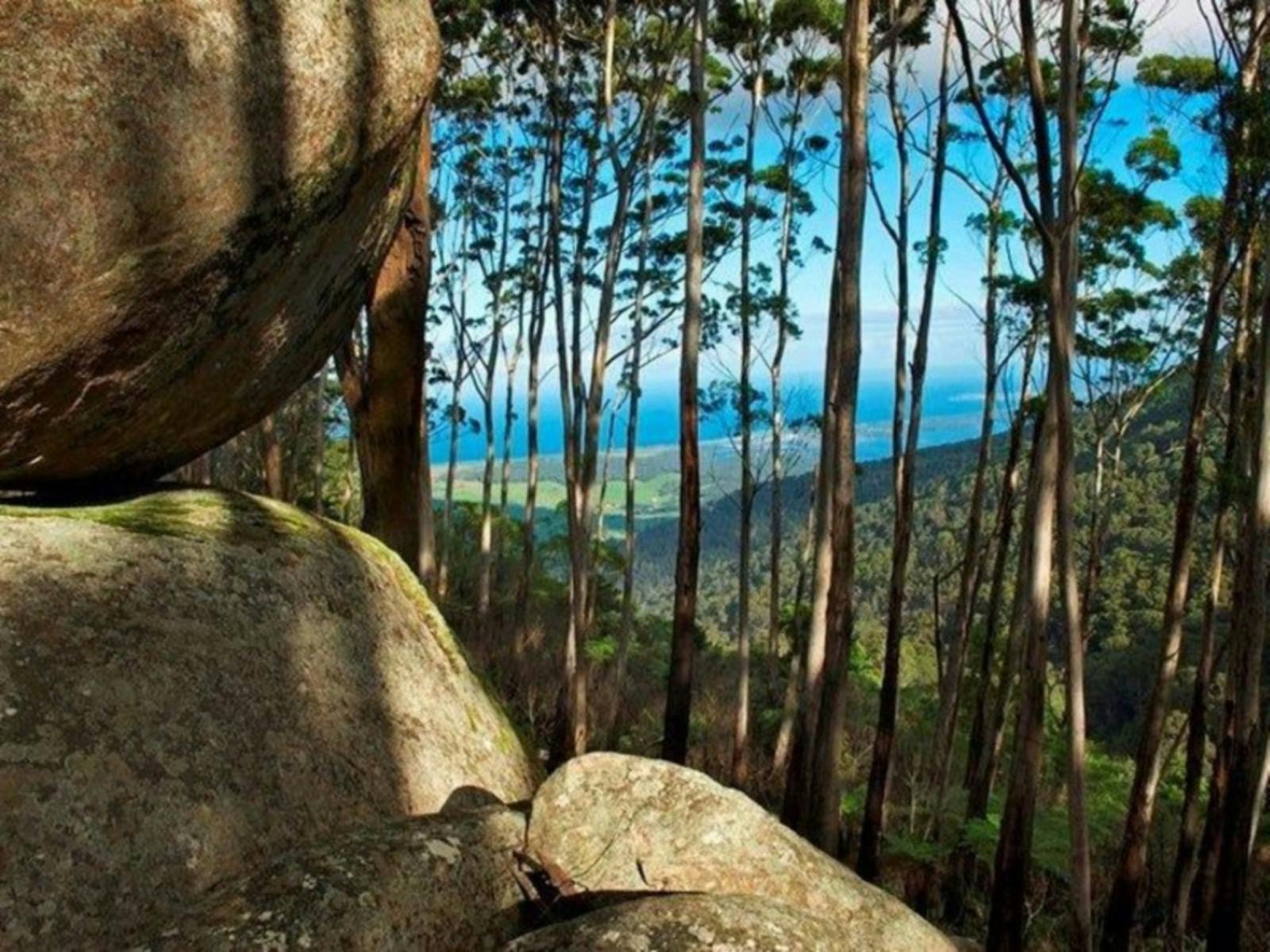 Gulaga (Mount Dromedary)에서 바다의 전망