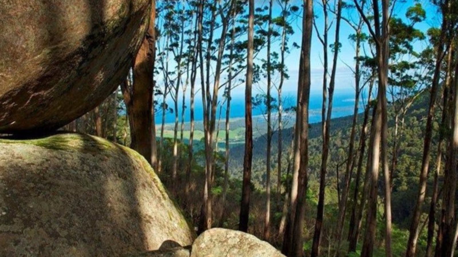 Gulaga Mountain Walk