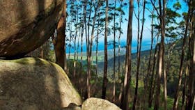 Gulaga Mountain Walk