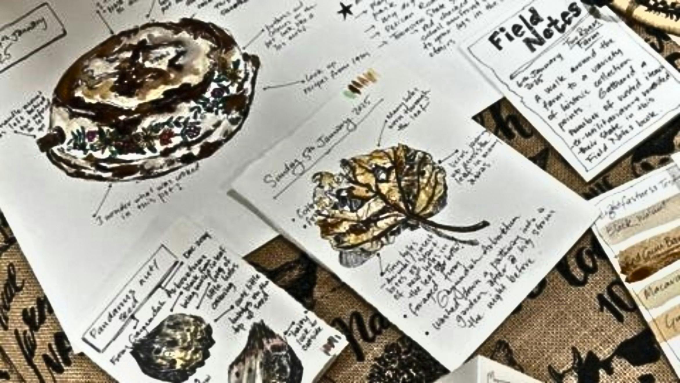 Harvesting Stories - Artefact Exploration Workshop