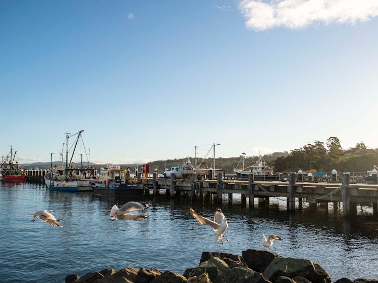 Snug Cove, Eden, Sapphire Coast NSW, Eden Wharf