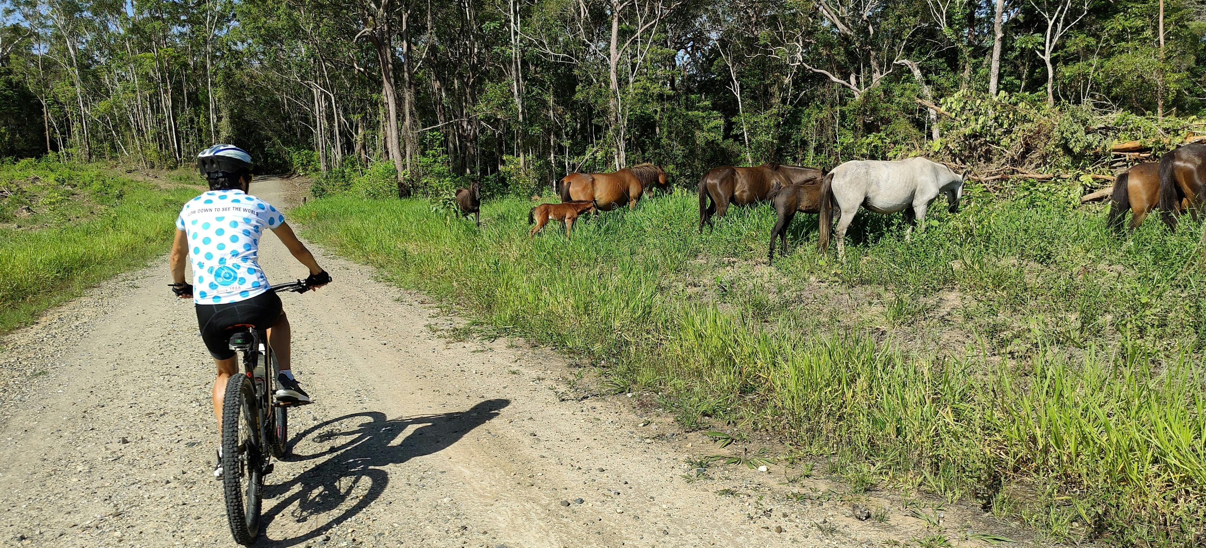 Brumbys on MTB tour