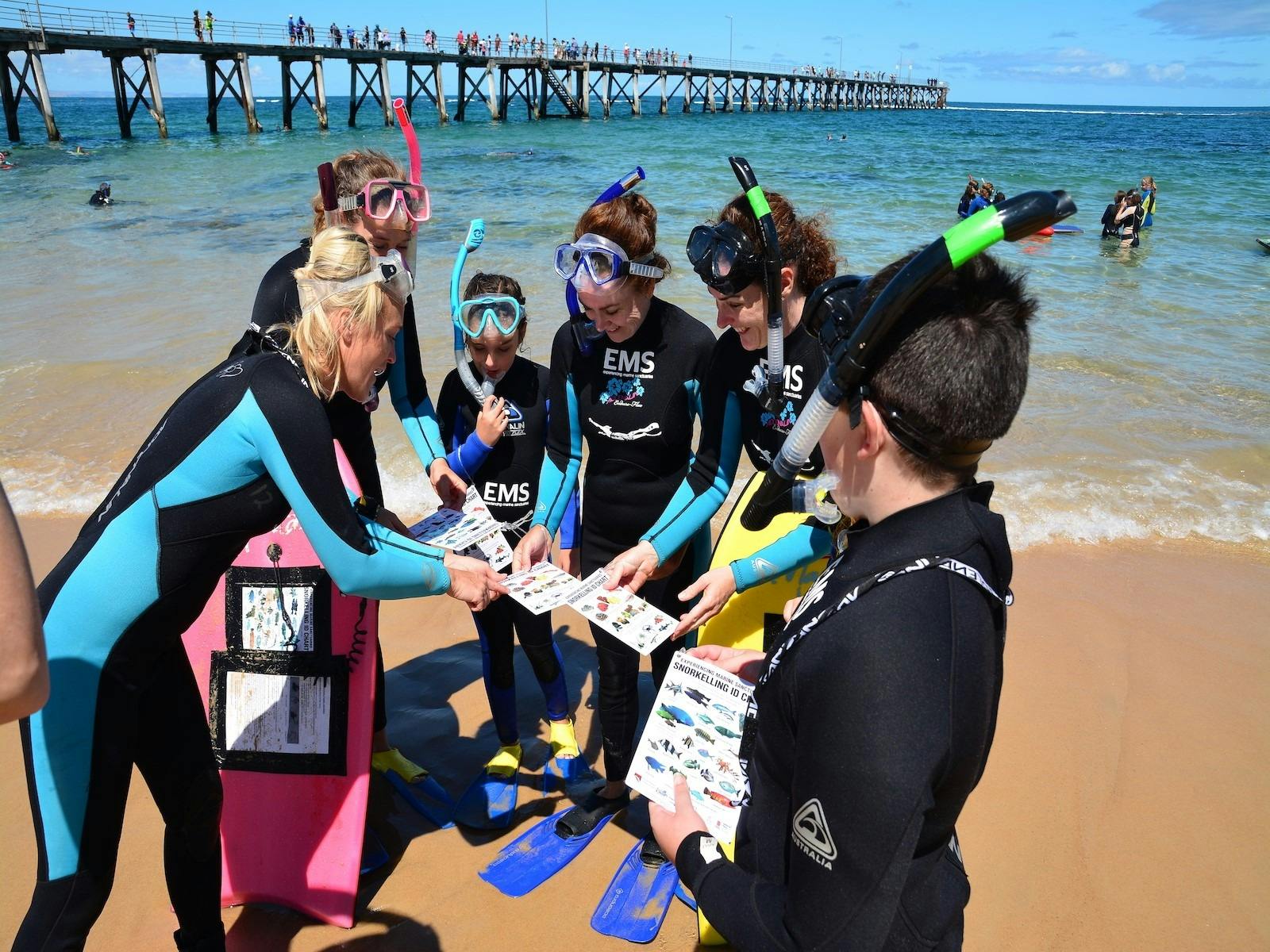 a gropu of people in snorkel gear by the ocean
