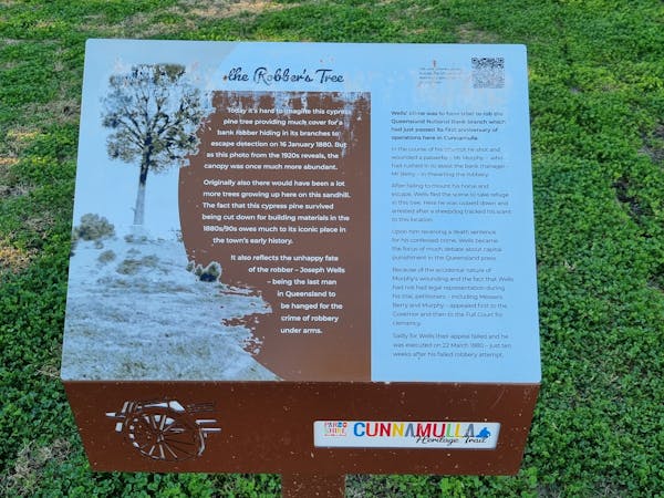 Robbers tree on heritage walk scan QR code. Robbers tree on heritage walk scan QR code.