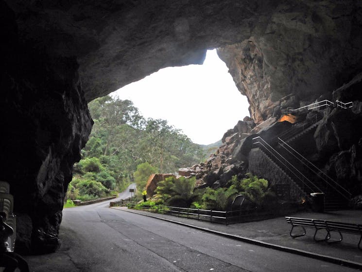 Road to Jenolan Caves