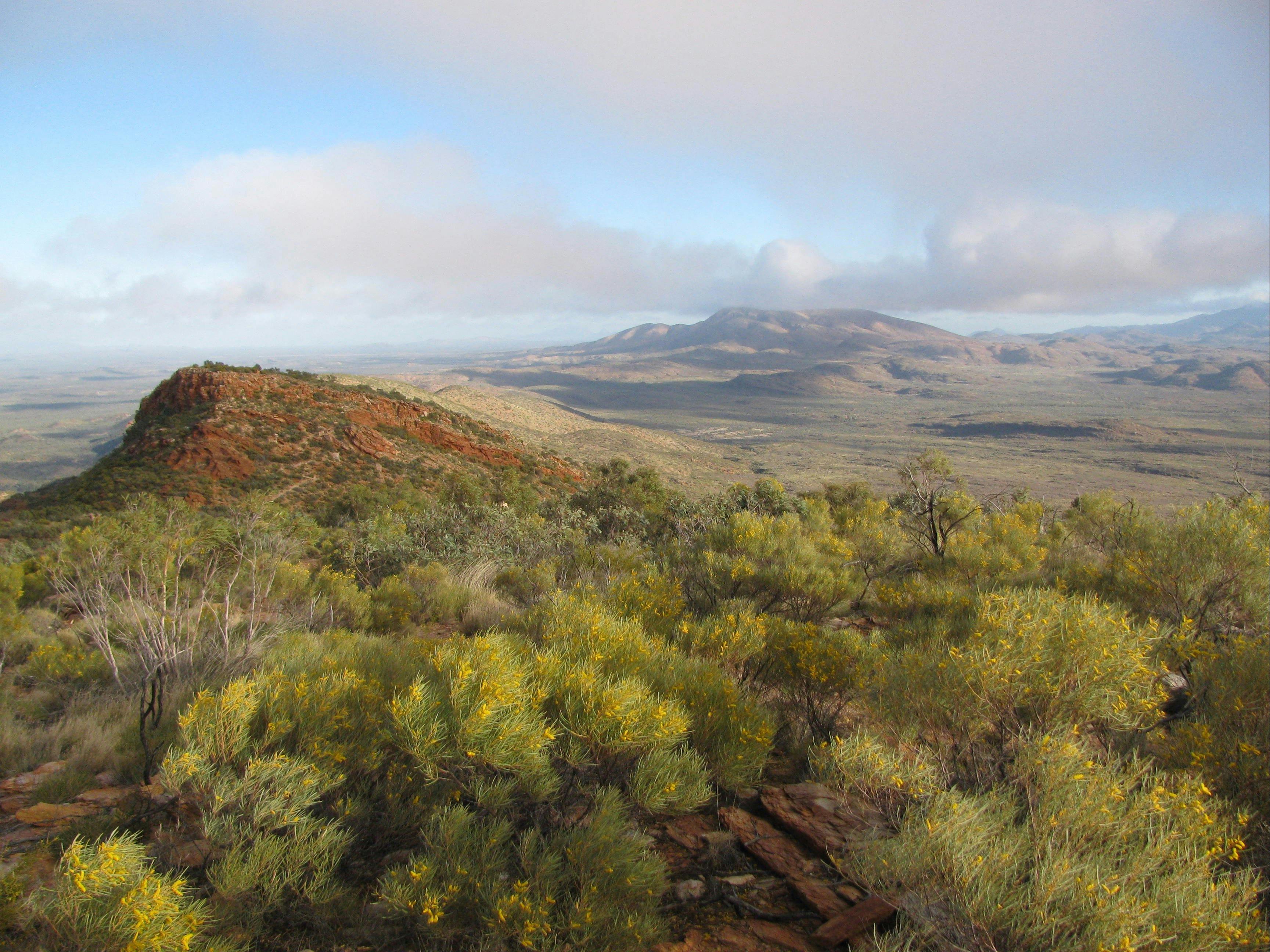 Larapinta Goddess Walk - 3 days