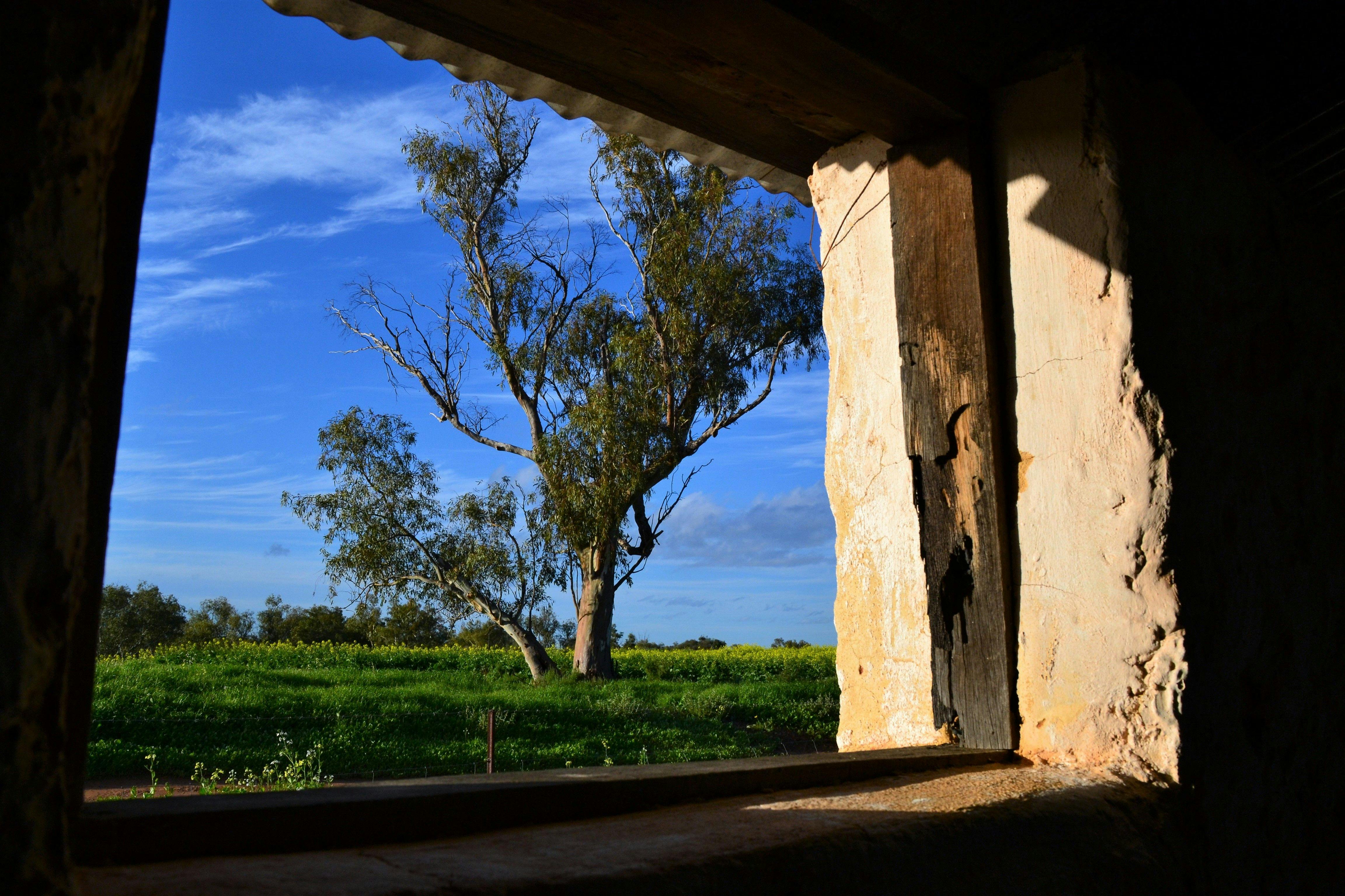 Enanty Barn