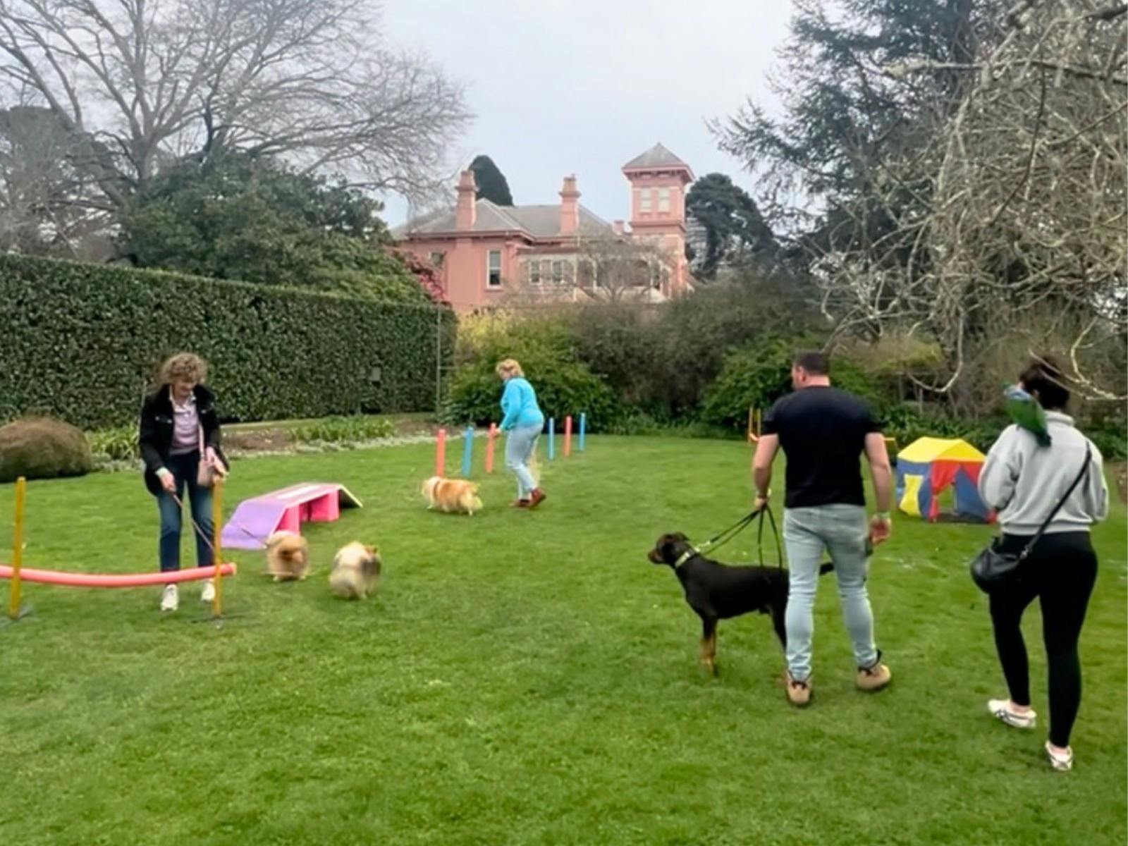 Small dogs and one large dark dog gather with their owners at an agility site surrounded by hedges.