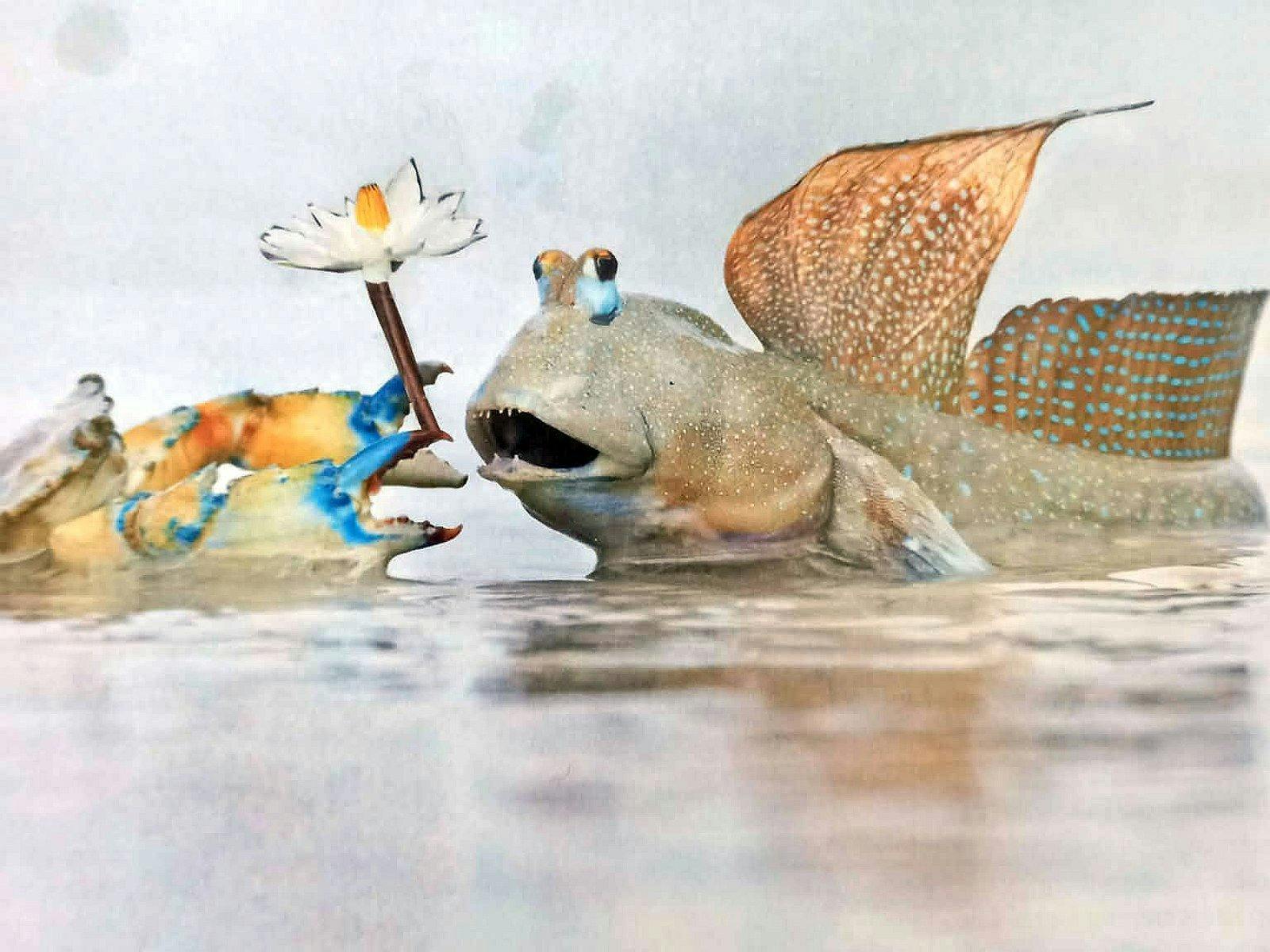 Georgina Clark artwork