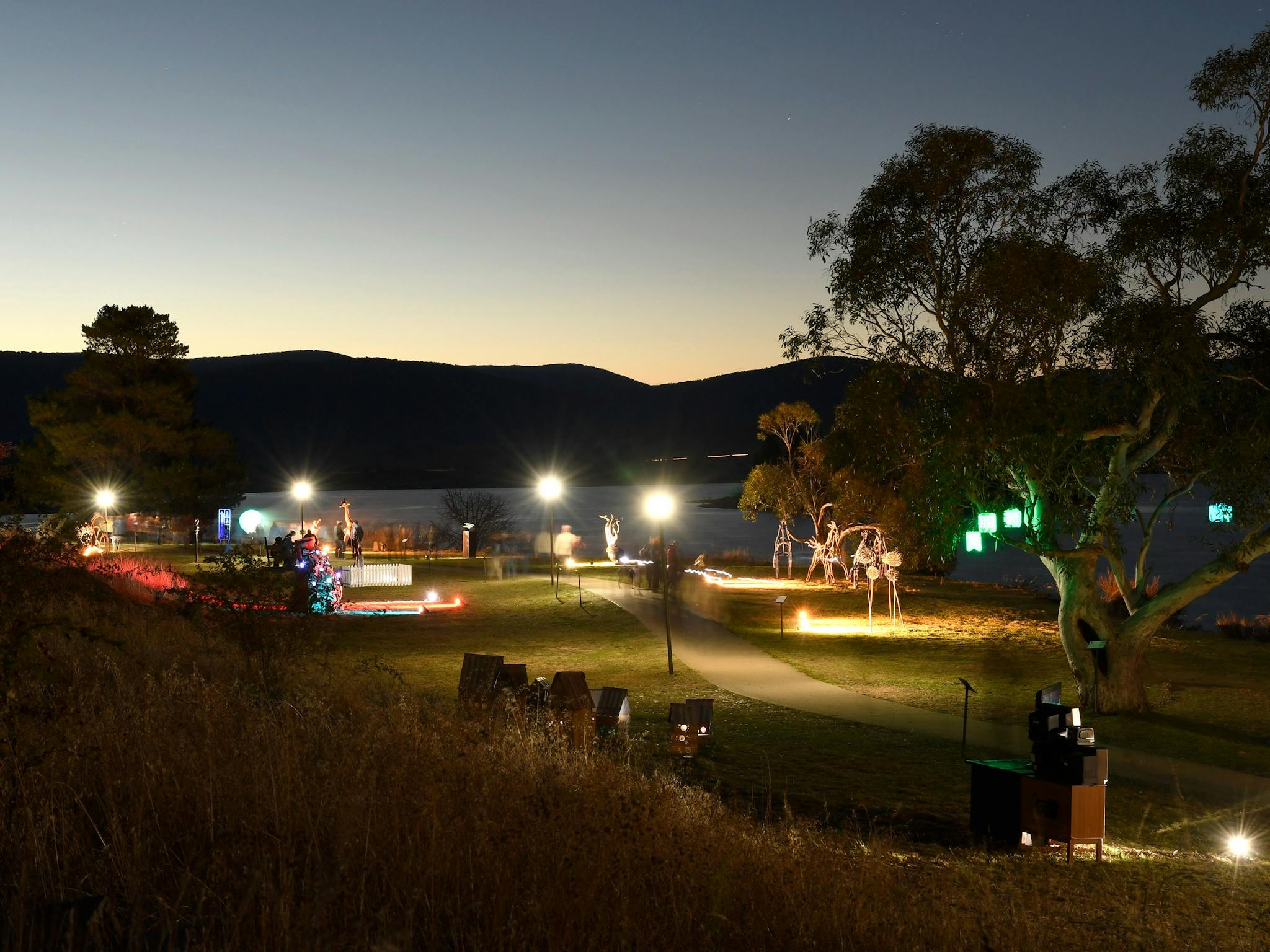 Nighttime scene with illuminated sculptures, a winding path, and a tree with glowing green lights.