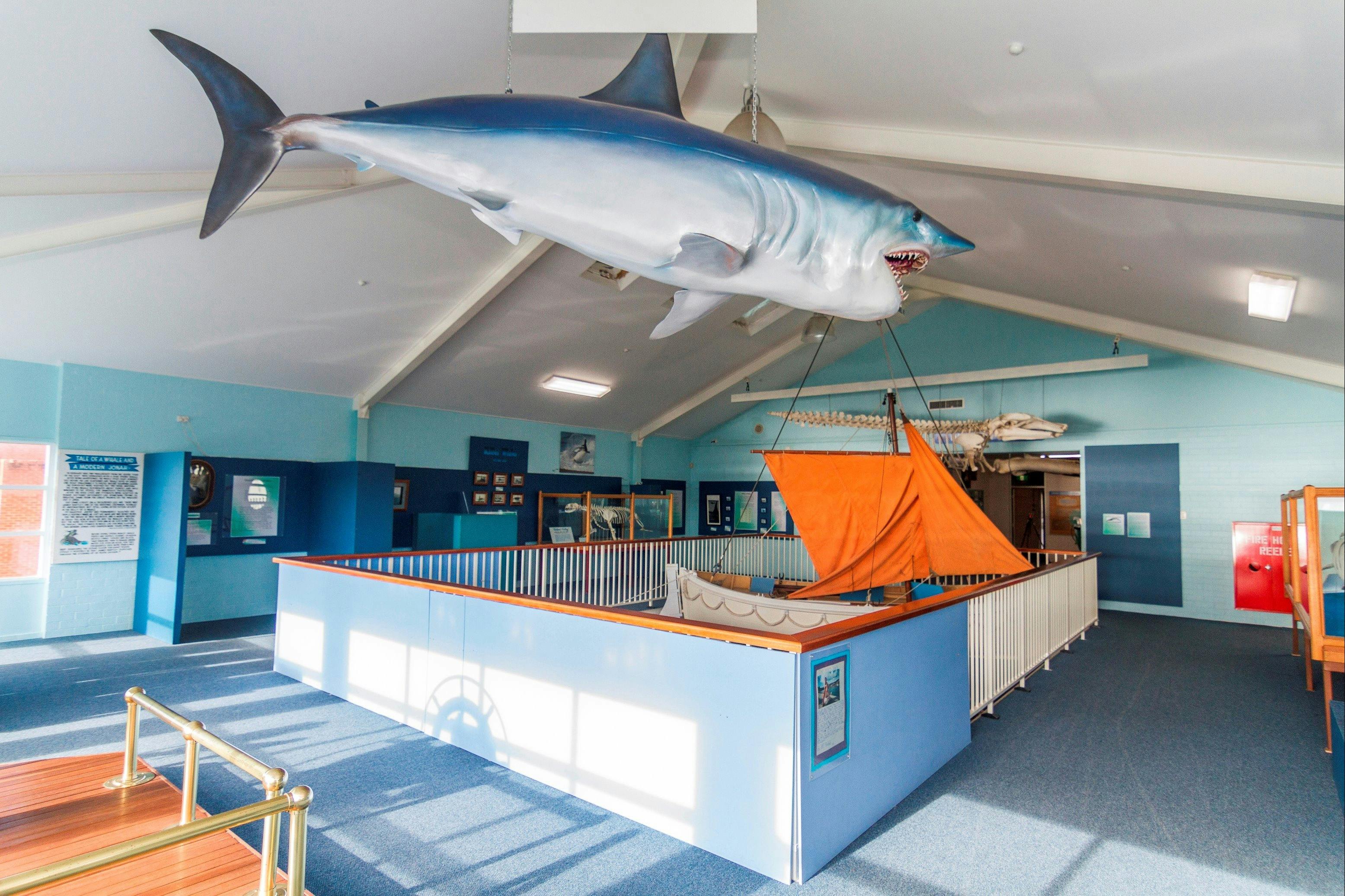 伊甸虎鯨博物館