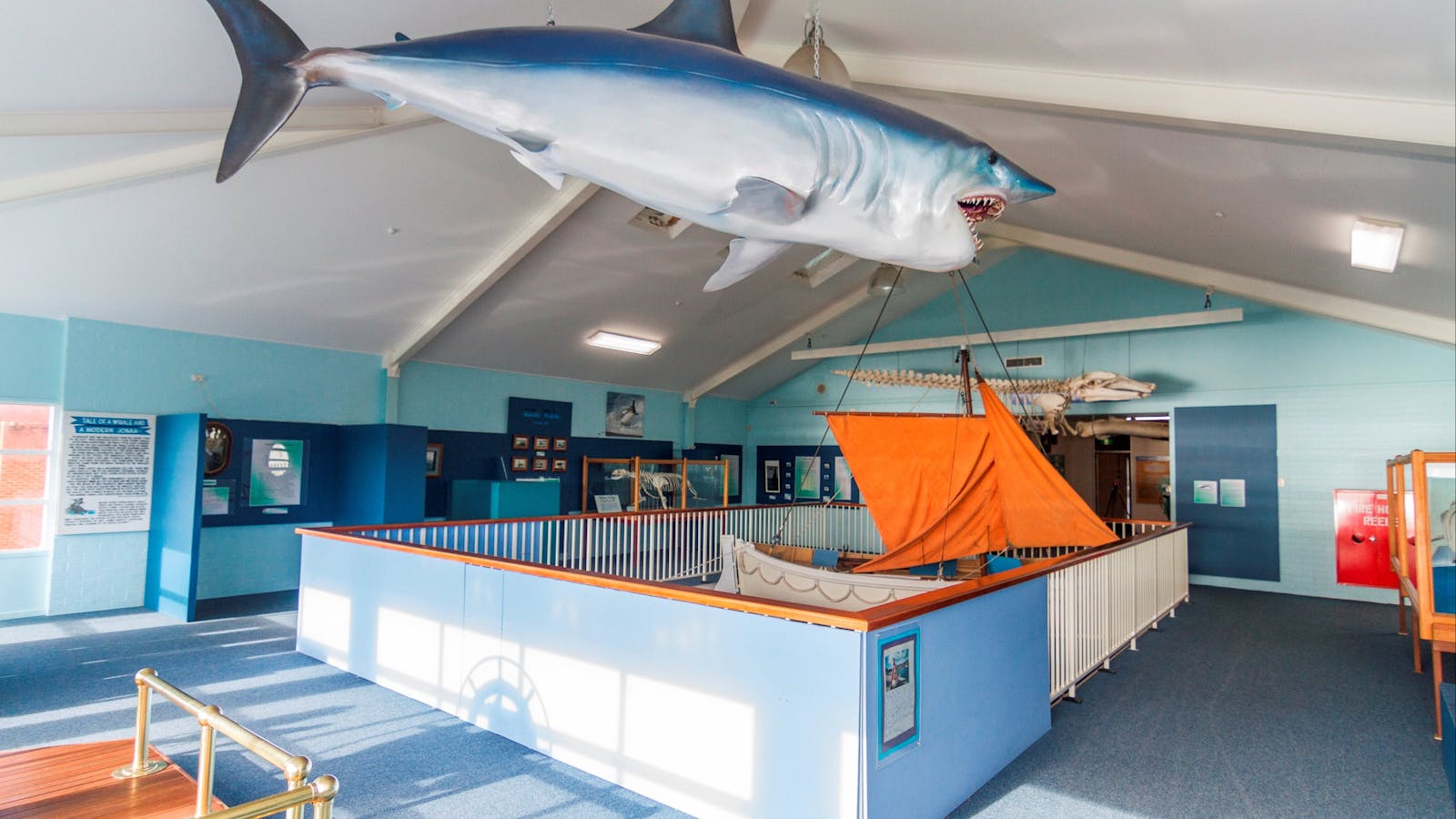 Eden Killer Whale Museum