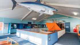 Eden Killer Whale Museum