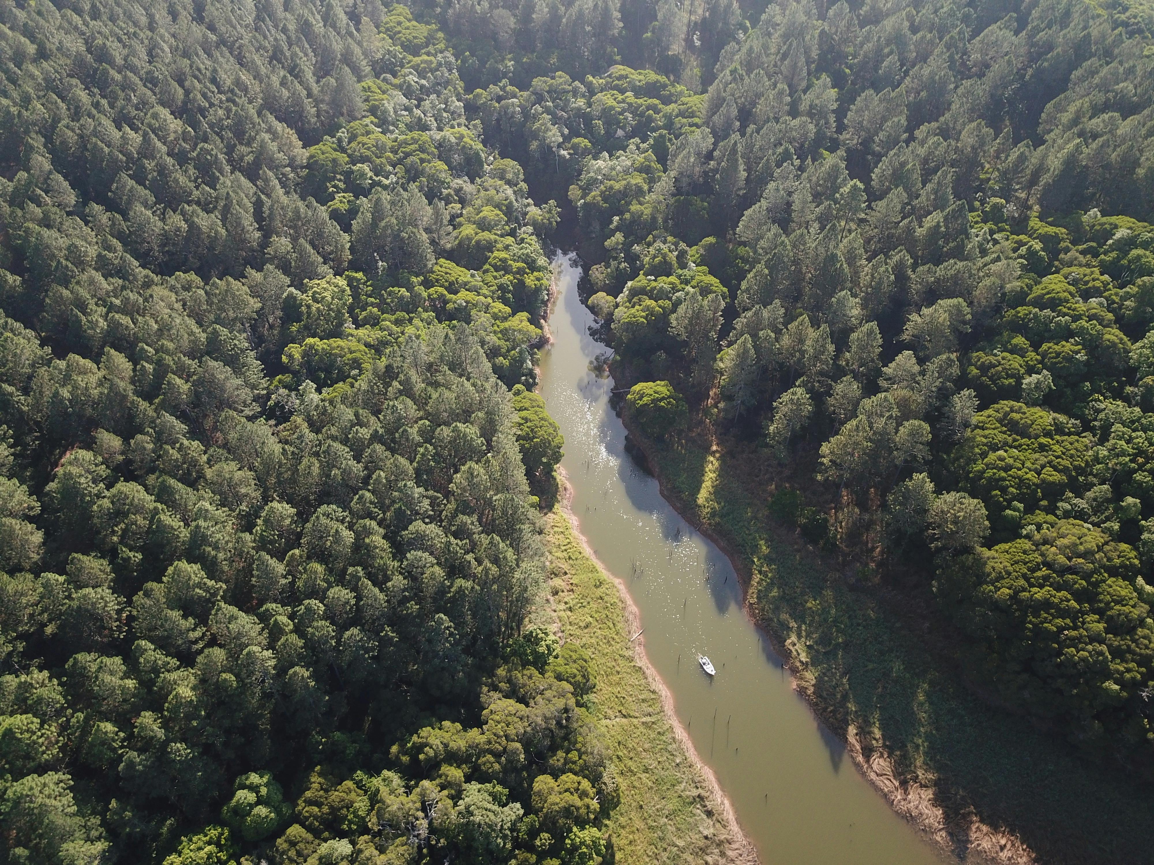 impoundment fishing