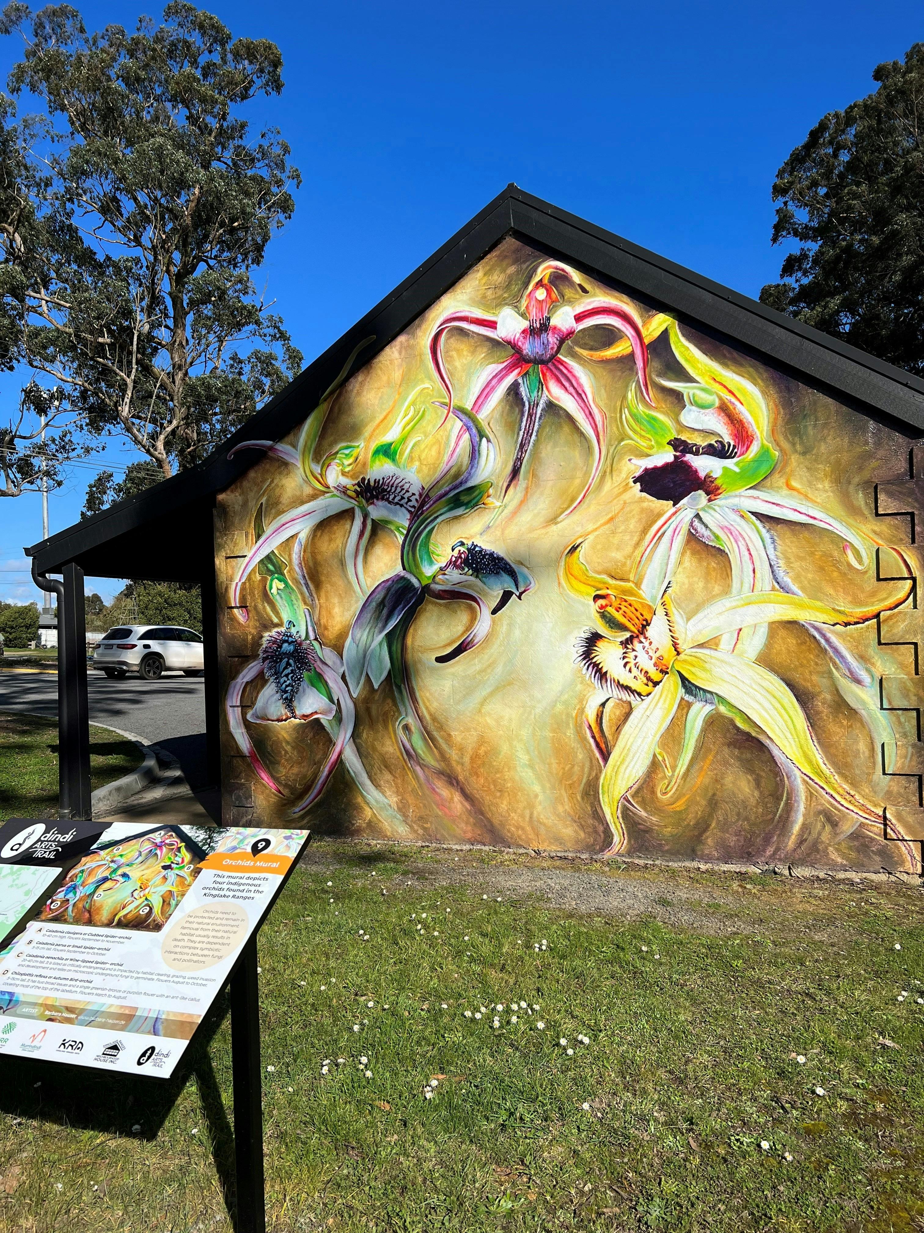 Orchids mural, Kinglake West
